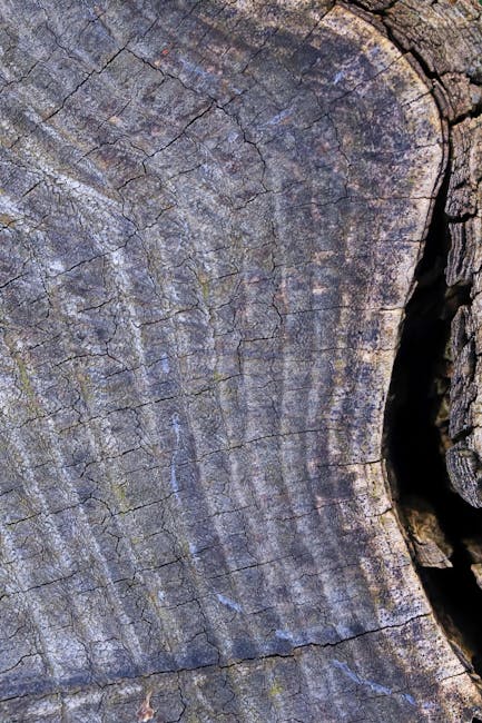 Historical Growth Rings